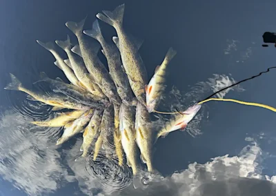 Manitoba Canada Fishing Report – August 19, 2026