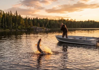 Northern Pike Fishing Spoons: Guide Tactics for Monster Pike