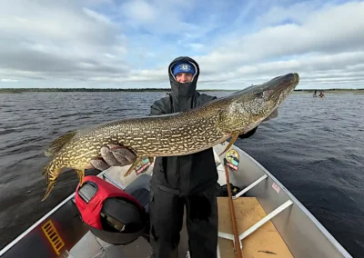 Alt Description: A smiling angler wearing dark rain gear and a blue beanie standing in an aluminum fishing boat, proudly holding a massive, long Northern Pike horizontally over the water at Cobham River Lodge.
