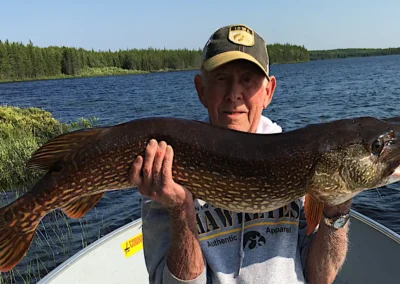 Angler holding a large Northern Pike with visible battle scars and healed marks in Manitoba.