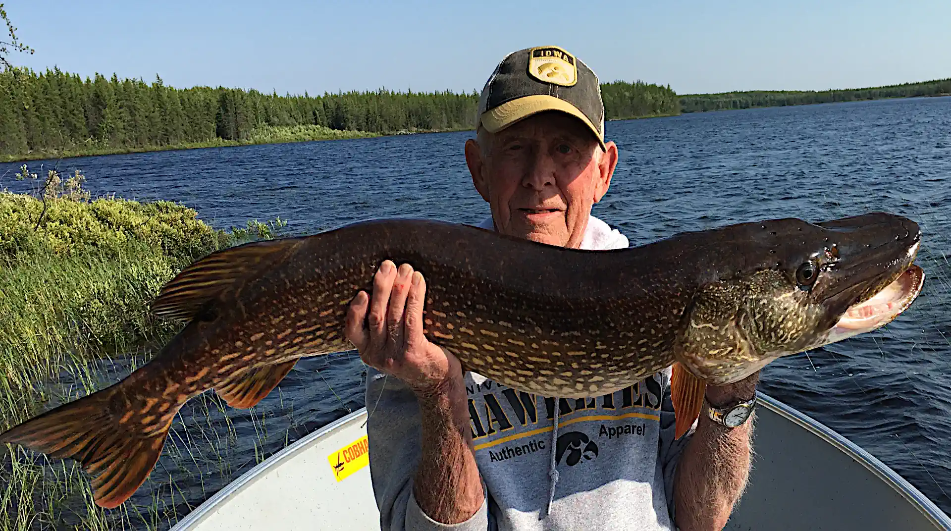 Angler holding a large Northern Pike with visible battle scars and healed marks in Manitoba.