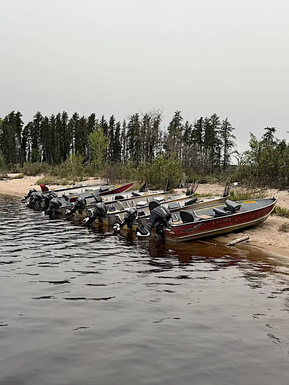 A row of several motorized aluminum fishing boats parked side-by-side on a sandy shoreline, backed by a dense evergreen forest under a gray, overcast sky at Cobham River Lodge.