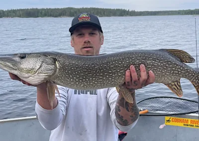 A tattooed man wearing a dark cap and light long-sleeve shirt holding a massive Northern Pike horizontally in an aluminum boat, with a yellow Cobham River Lodge sticker visible and a forested shoreline in the background.