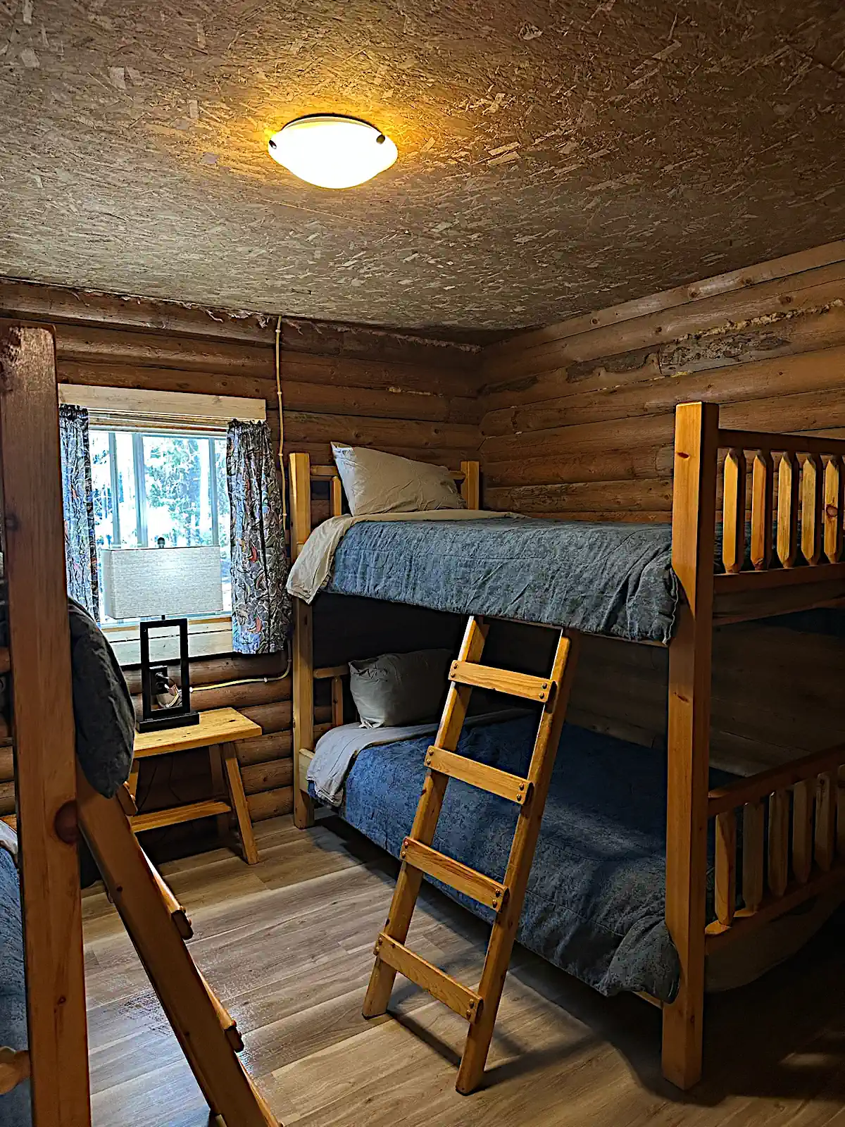 A rustic log cabin bedroom at Cobham River Outpost featuring wooden bunk beds with blue blankets, a nightstand with a lamp, and exposed log walls.