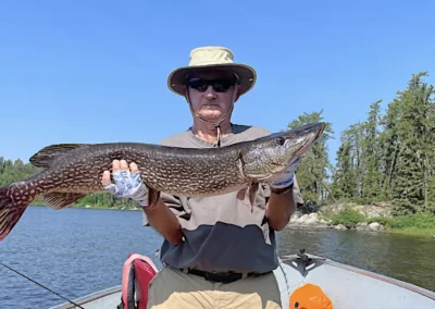 A man wearing a sun hat and sunglasses standing in an aluminum boat on a sunny day, proudly holding a massive Northern Pike with both gloved hands at Cobham River Outpost.