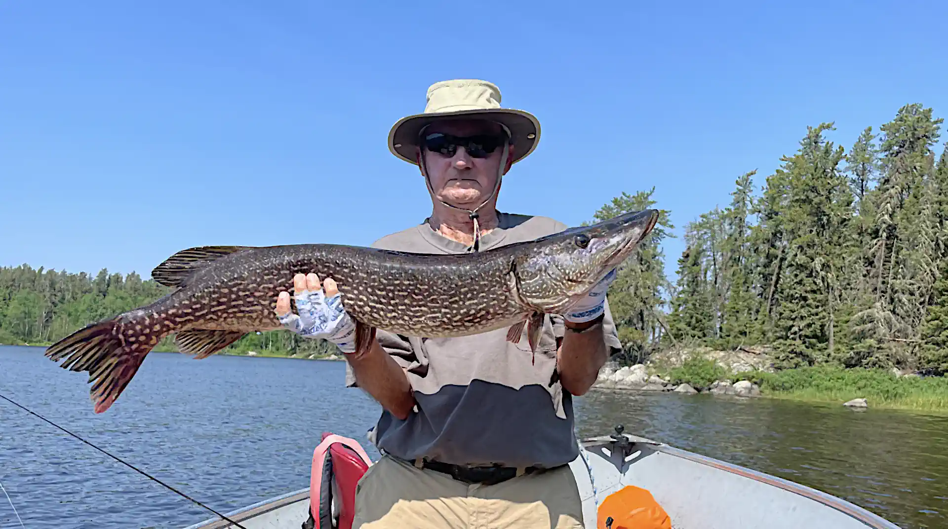 A man wearing a sun hat and sunglasses standing in an aluminum boat on a sunny day, proudly holding a massive Northern Pike with both gloved hands at Cobham River Outpost.