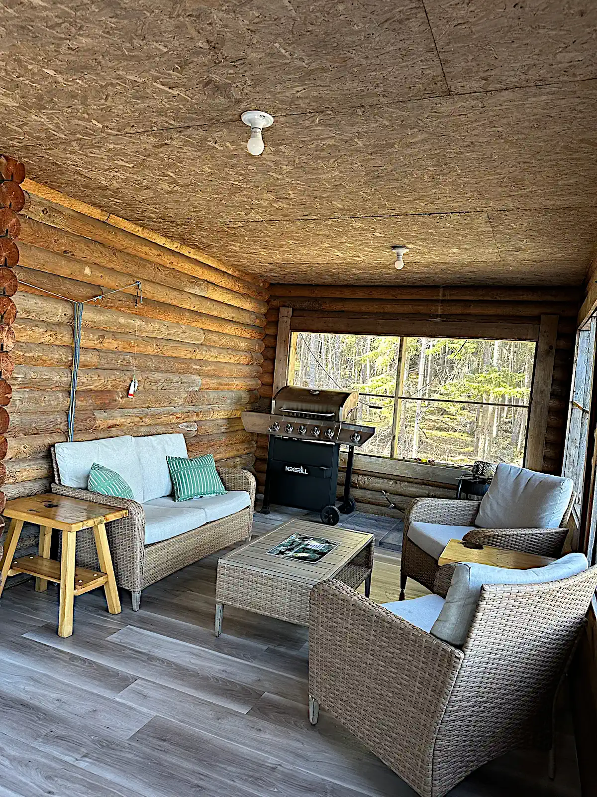 A rustic screened-in porch at Cobham River Outpost featuring exposed log walls, grey wicker patio furniture with green striped pillows, and a black gas grill looking out into a dense forest.
