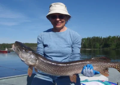 A smiling woman wearing a bucket hat, sunglasses, and a blue striped shirt sitting in an aluminum boat, proudly holding a massive Northern Pike with blue gloved hands under a clear sky at Cobham River Outpost, with another boat visible in the background.