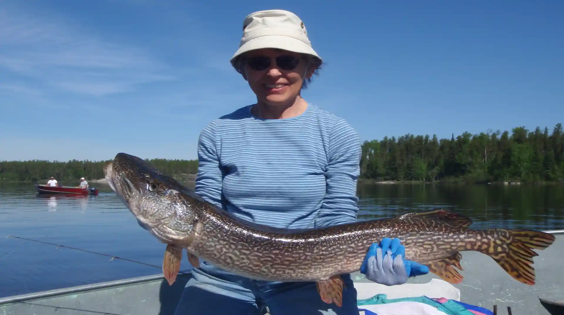 A smiling woman wearing a bucket hat, sunglasses, and a blue striped shirt sitting in an aluminum boat, proudly holding a massive Northern Pike with blue gloved hands under a clear sky at Cobham River Outpost, with another boat visible in the background.