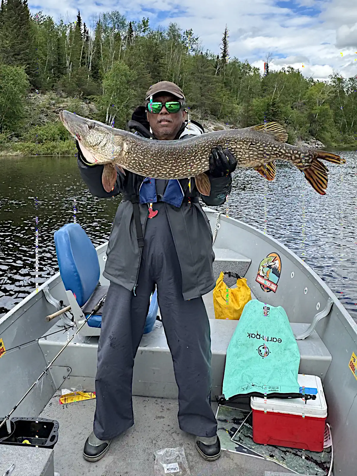 Fisherman wearing a jacket holding a thick Northern Pike with autumn trees in the background in Manitoba.