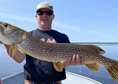 Fisherman holding a Northern Pike in a boat in Manitoba.