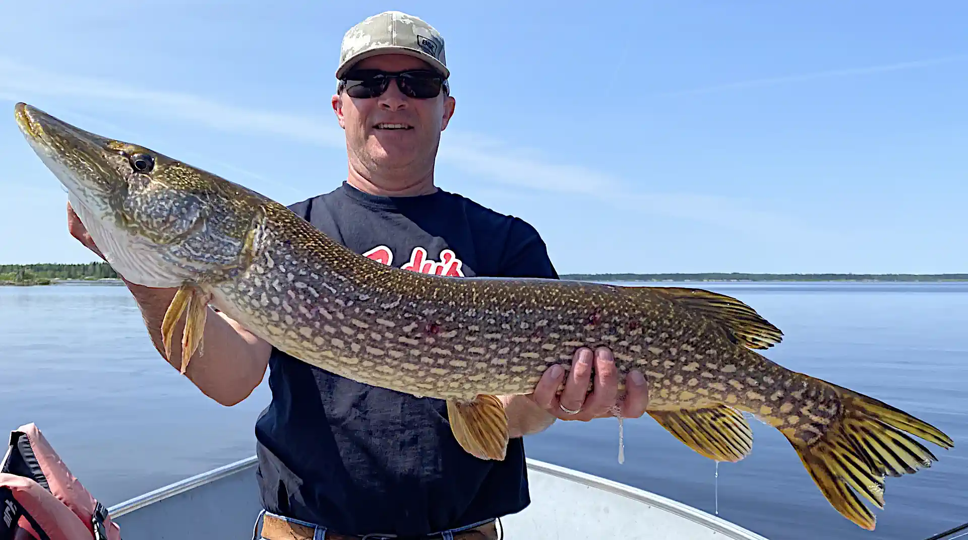 Fisherman holding a Northern Pike in a boat in Manitoba.