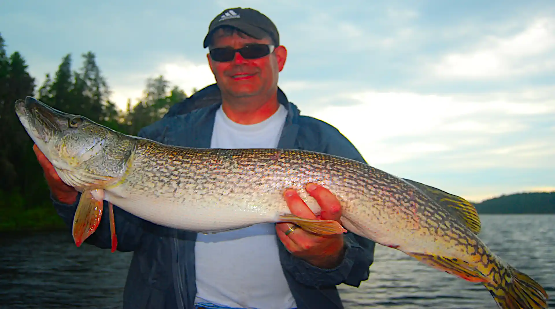 Fisherman holding a massive Northern Pike silhouetted against a vibrant Manitoba sunset.