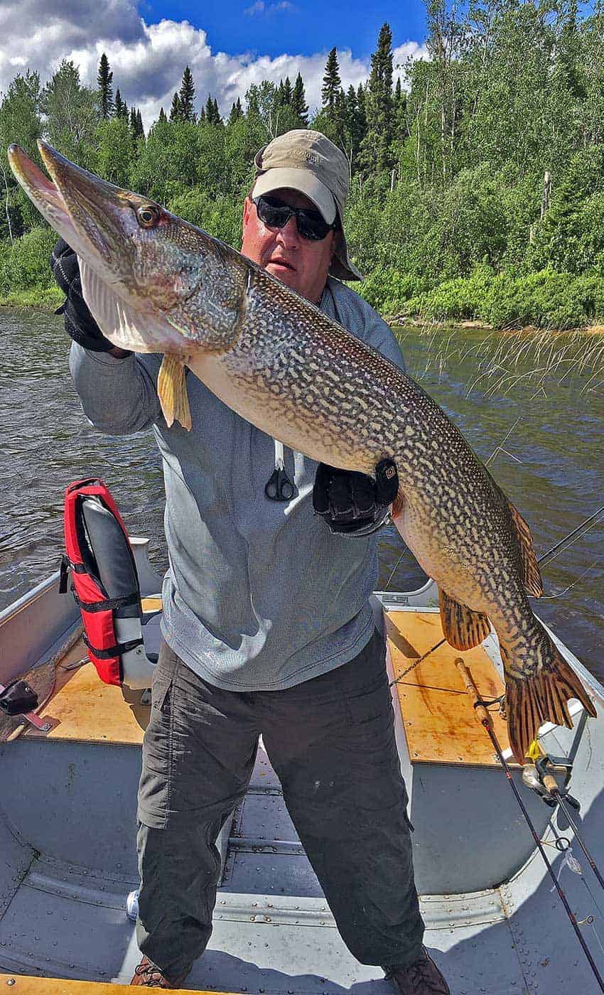 Best Northern Pike fly in fishing at our Manitoba fishing lodge. Fly in fishing at Cobham River Lodge, Manitoba Canada.