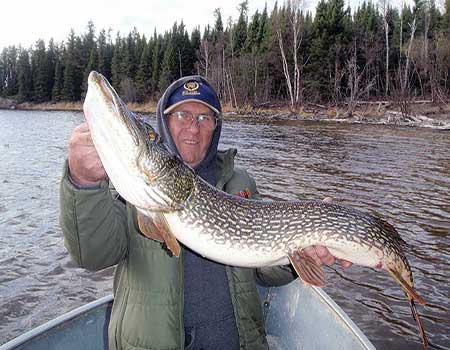 Monster Pike at Cobham River Lodge in Northern Manitoba, Canada. What Great Catch!
