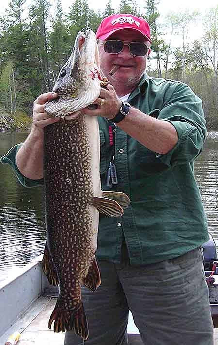 Fly fishing for monster pike