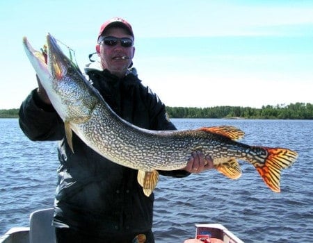 Best Pike Lures - Canada Pike Lures