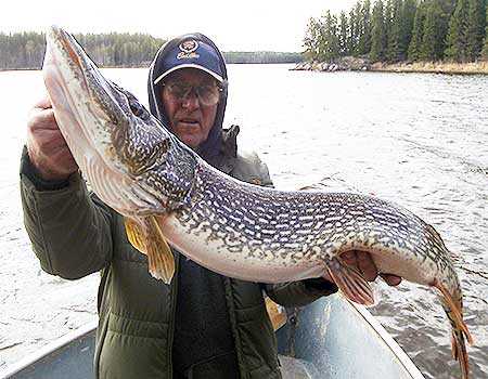 Northern Pike Fishing Canada Fly In Lodge. Trophy Northern Pike Fishing in Manitoba Canada.