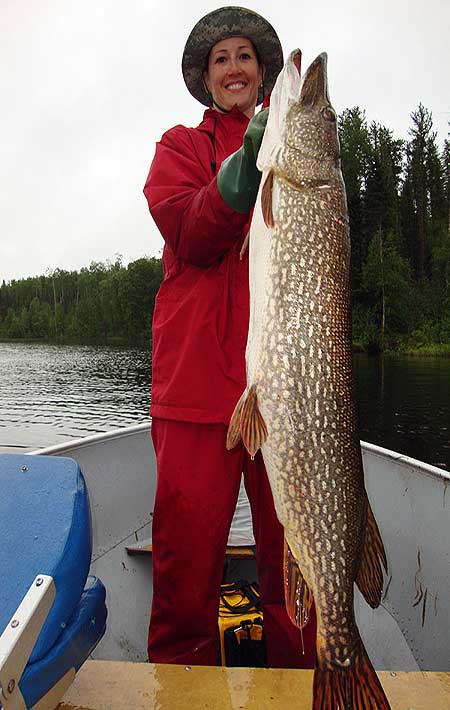 MONSTER Northern Pike in Manitoba Canada | Cobham River Lodge