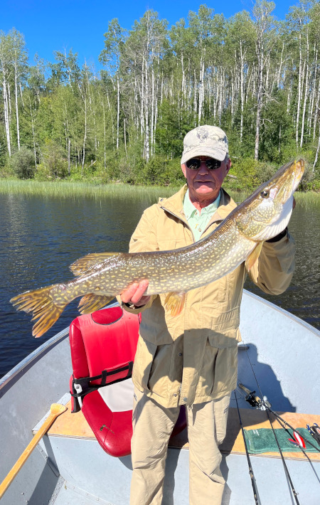 Canada Northern Pike Images 700