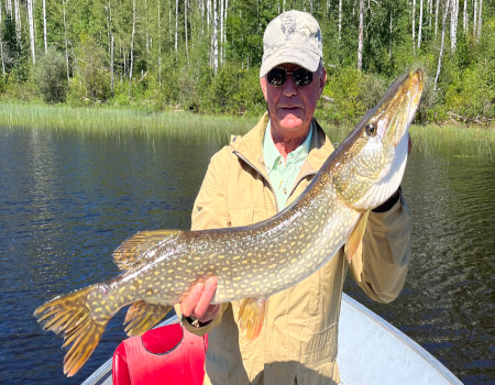 Canada Northern Pike Images
