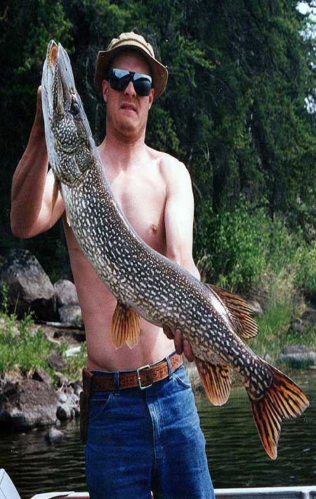 Canada Northern Pike Overview | Cobham River Lodge