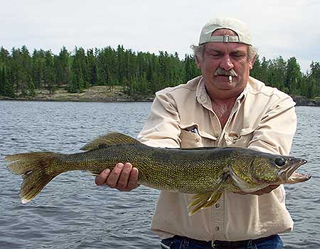 Walleye Fishing in Canada for the Canada Walleye Fishing Trips | Cobham River Lodge