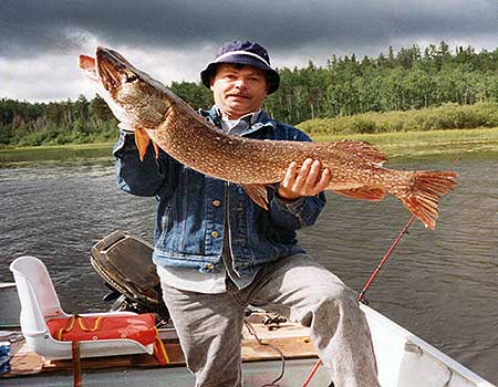 Cobham River Lodge is a full service, remote wilderness Canada fishing lodge located in Manitoba Canada. Experience legendary fishing at our Canada fishing lodge.