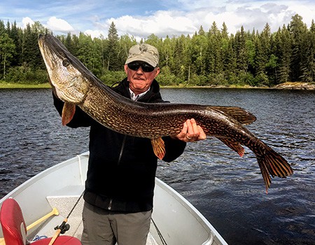 Best trophy Northern Pike fishing | Cobham River Lodge