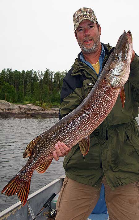 Best Canadian Northern Pike Fishing | Cobham River Lodge