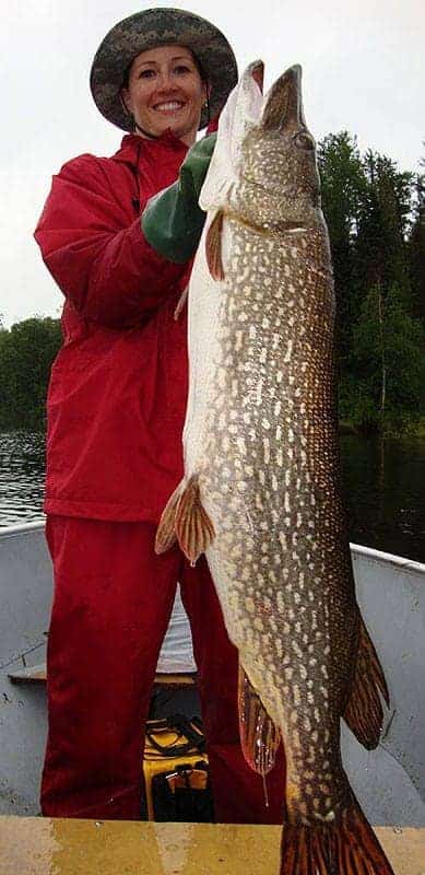 Manitoba Fly in Fishing Lodges - Northern Pike Fishing Canada