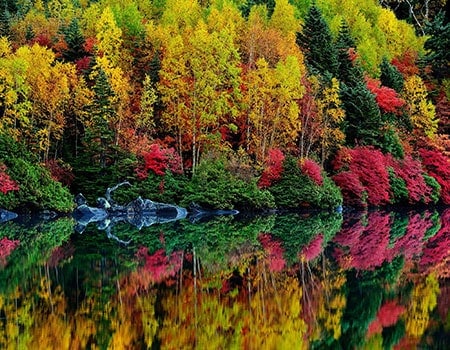 Fall color comes to the Canadian shoreline | Cobham River Lodge