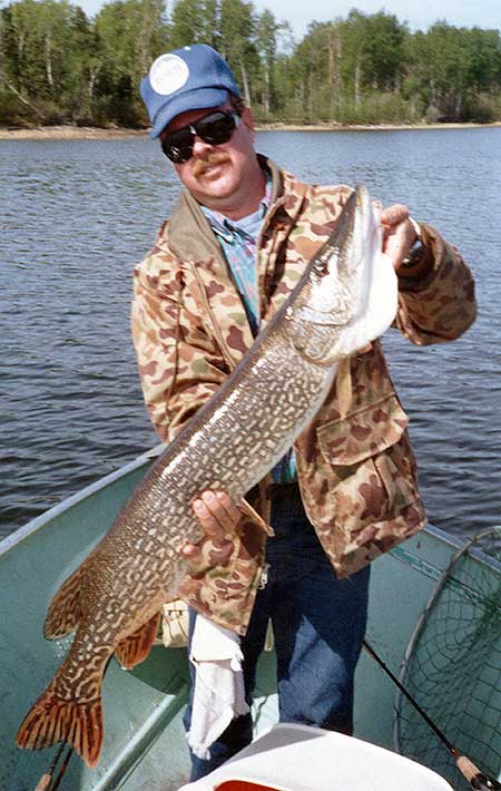 Huge giant trophy pike, Canada's #1 trophy Northern Pike destination.