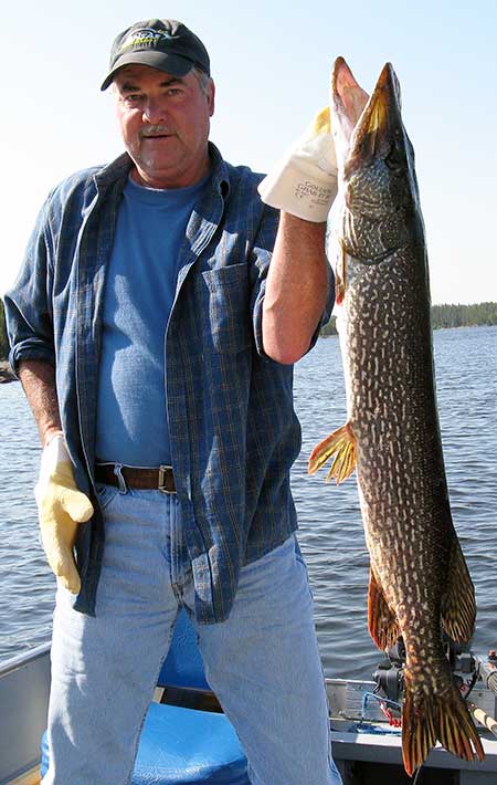 Canada Northern Pike Fishing Trips, Fishing fly in outposts for Northern Pike.