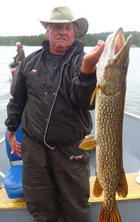Fishing for 20lb+ Pike, Giant Northern Pike fishing Canada.