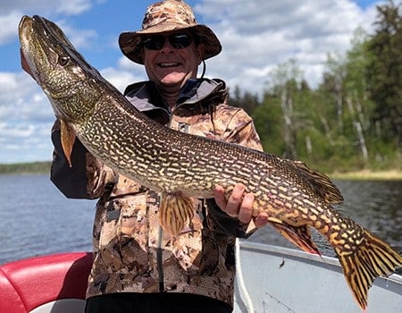 Another Canada trophy pike | Cobham River Lodge