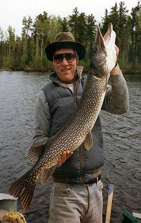 Dreamed of catching a real trophy pike on fly? Trophy Northern Pike our specialty!
