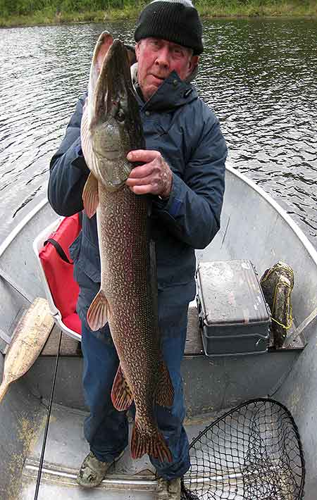Monster Canada Pike Fishing, World Class Fishing on Cobham River, Manitoba, Canada.