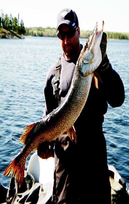 Manitoba Northern Pike Fishing. Huge Northern Pike Fishing in Manitoba Canada.