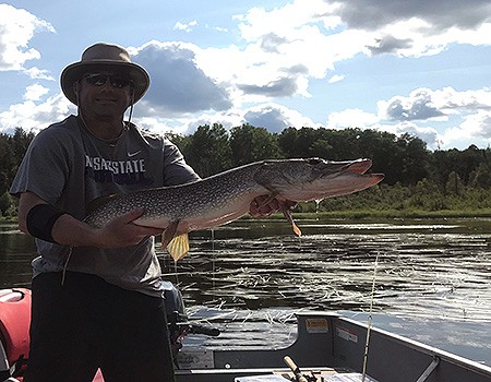Canada Fly in Trophy Pike | Cobham River Lodge