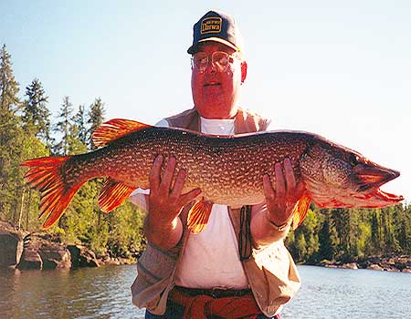 Trophy Northern Pike at Cobham River, Canada's fly in outpost camps.