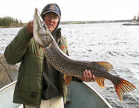 Manitoba fishing lodge located in northern Manitoba Canada. Fly in fishing cabins,