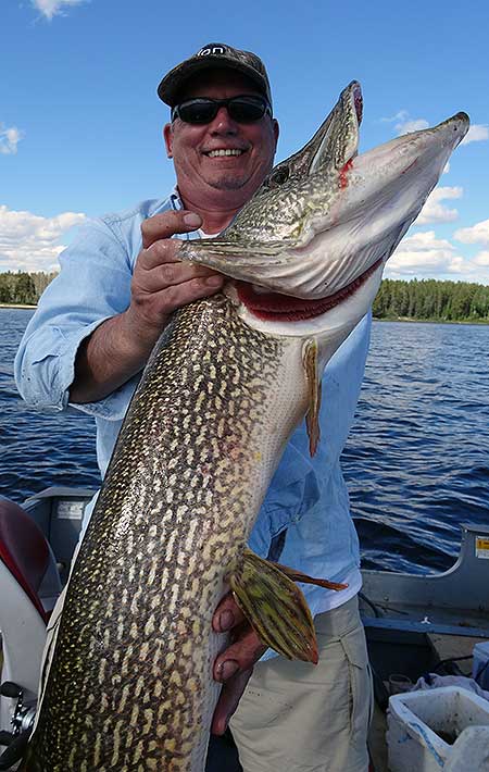 Cobham River offers some of the best trophy pike fishing in Manitoba Canada.