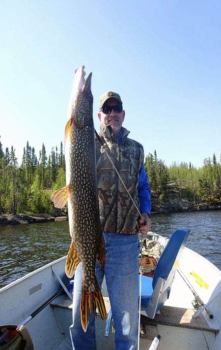 Northern Pike Fishing in Manitoba Canada | Cobham River Lodge