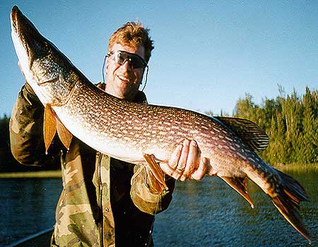 Canada offers the most diverse northern pike fishing on the continent. northern pike trophy from Canada.