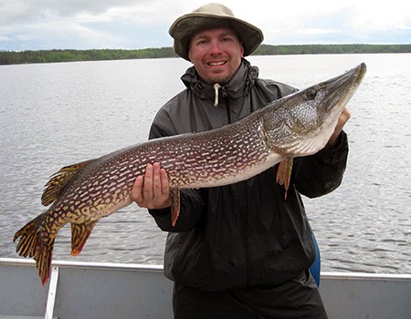 Northern Pike Photo capturing the essence of aquatic allure.
