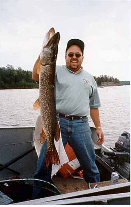 A glimpse into the pike's domain in this Northern Pike Photo