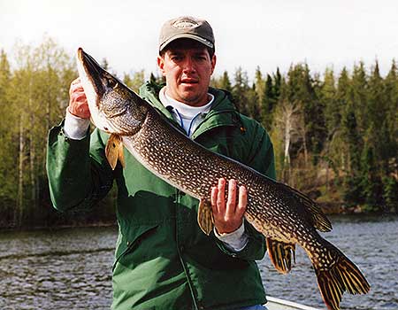 Angler with a 43 inch pike. Trophy pike fishing Canada.
