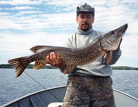 Mike landed 46 inch Northern Pike. Manitoba Canada pike fishing.