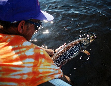 Pike fish. Northern Pike Fishing Trips Canada, Fly-In Trophy Fishing.